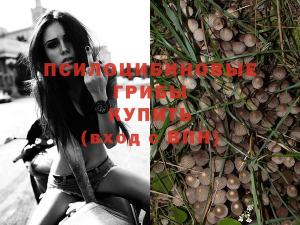 амф Армянск